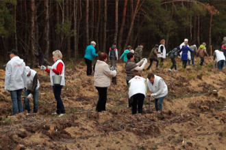 В Светлогорском районе высадили 51000 новых деревьев