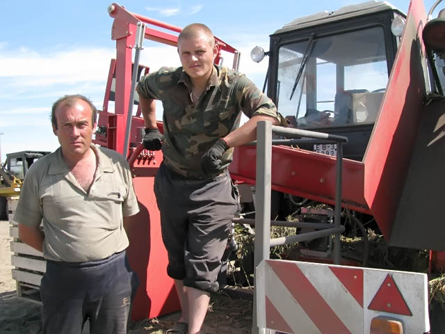 КСУП «Овощная фабрика» занимается выращиванием чеснока
