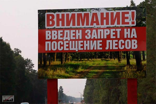 Запрет посещения лесов