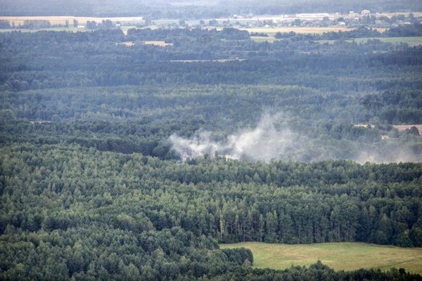 В Гомельской области горят леса