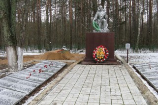 Останки бойцов и командиров Красной Армии, погибших в боях против фашистов.