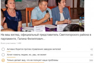 Официальный представитель Светлогорского района в парламенте