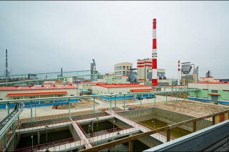 Завод беленой целлюлозы в Светлогорске: пугающая информация