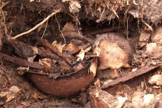В Светлогорском районе найдены человеческие останки и боеприпасы